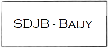 Logo sdjb baijy